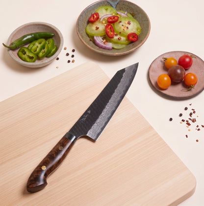 Nigara SG2 Kurouchi Tsuchime Kiritsuke Gyuto 210mm Japanese chef knife with desert ironwood handle next to cut vegetables 